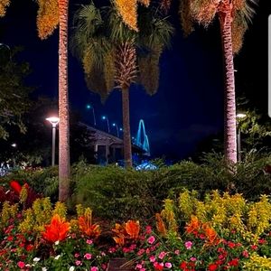 Meet your Posher, Jess